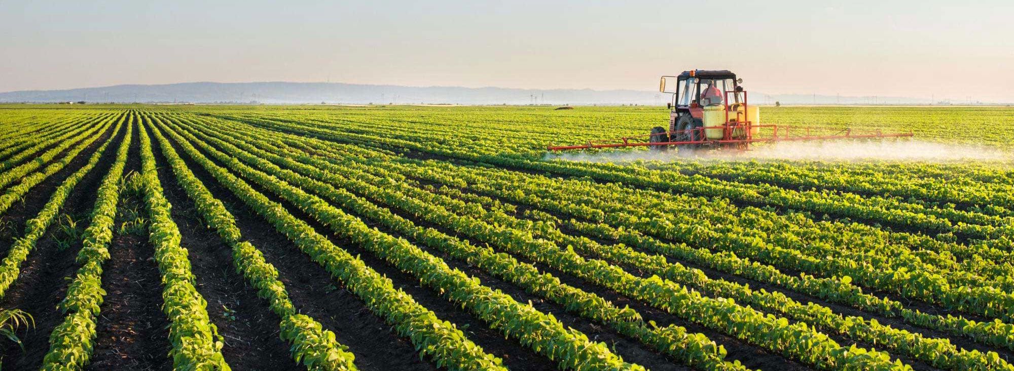 agriculture