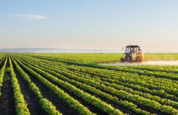 Agriculture Laborfinders